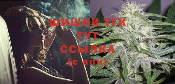 первитин Новодвинск