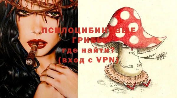 хмурый Кодинск
