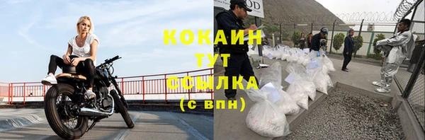 первитин Новодвинск