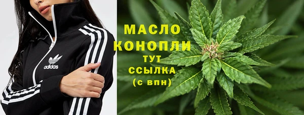 первитин Новодвинск